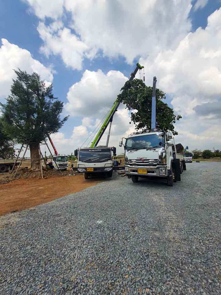 บริการให้เช่ารถเครน